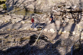 Hiking - Hikin through the park