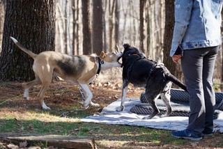 Durby has no respect for old men.