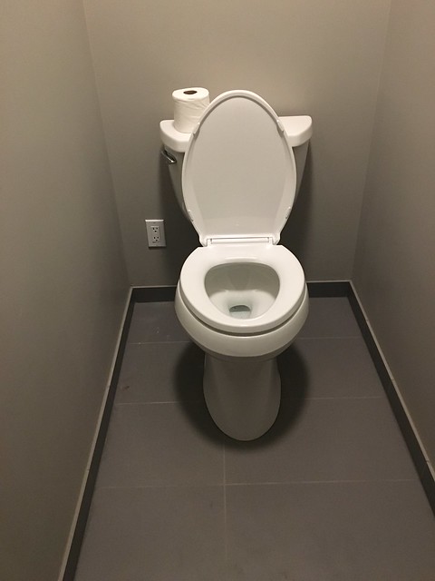 GAME CHANGER: we have a toilet on the main floor