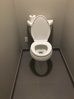 GAME CHANGER: we have a toilet on the main floor
