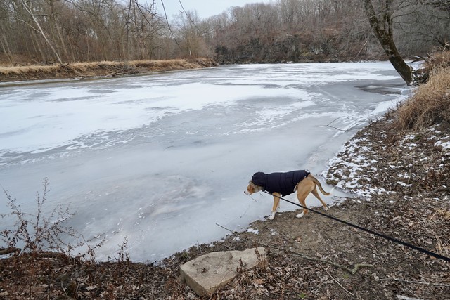 Checkin out the Frozen Wapsipinicon River