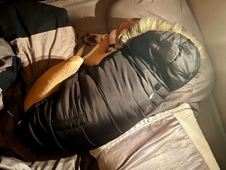 Little dude needed some naps