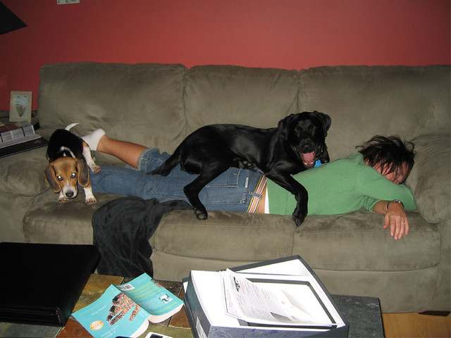 Kari makes a good mattress