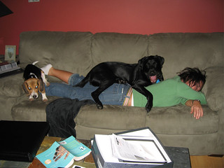 Kari makes a good mattress