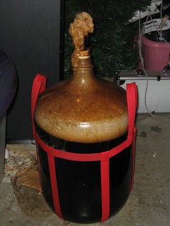 Homebrew - The carboy after 31 hours - the airlock lid exploded off