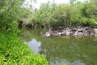The resort is connected by canals. This is the one that runs behind our villa