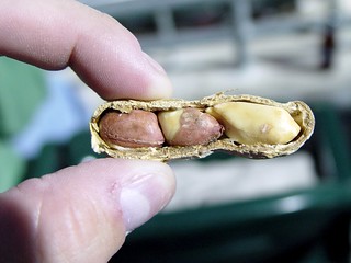 3 nutted peanut