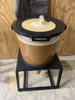 Homebrew - Mine primary fermentation went a little wild...