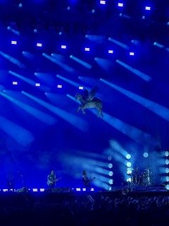 Flying sheep above Fall Out Boy