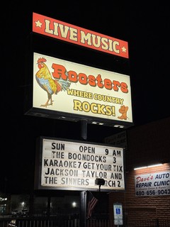 I asked if there were any dive bars on the way back to Citrus Gardens... and this is where we ended up.