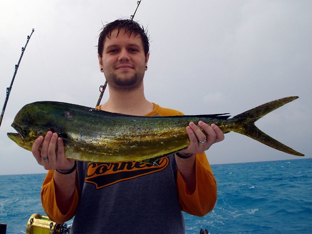 One of my Mahi Mahi