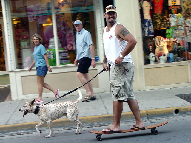 Sweet Transportation