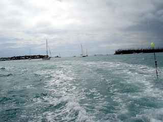 Coming back to the port