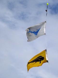 Braggin Flags