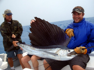 Giant Sail Fish - completely covering Ned