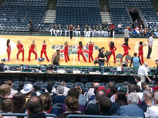 More chicks need to stand around like this