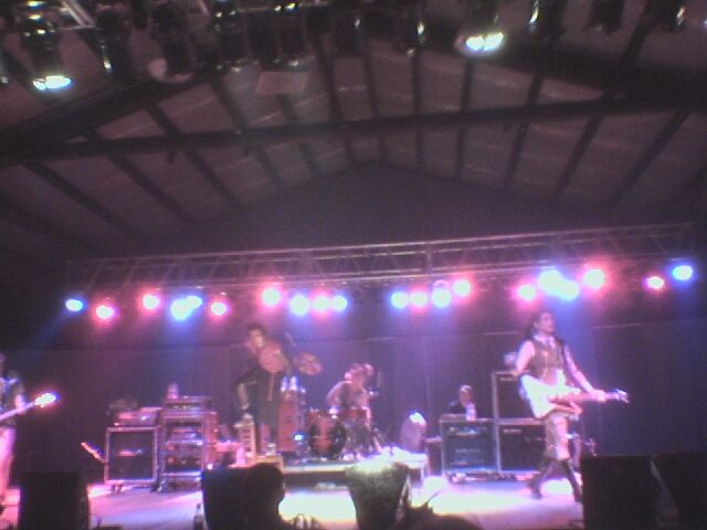 Mindless Self Indulgence