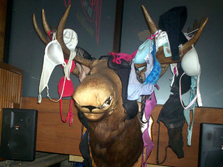 Travel - The Bra Elk @ Brother's, Minneapolis