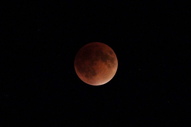 Lunar Eclipse. Peak Blood.