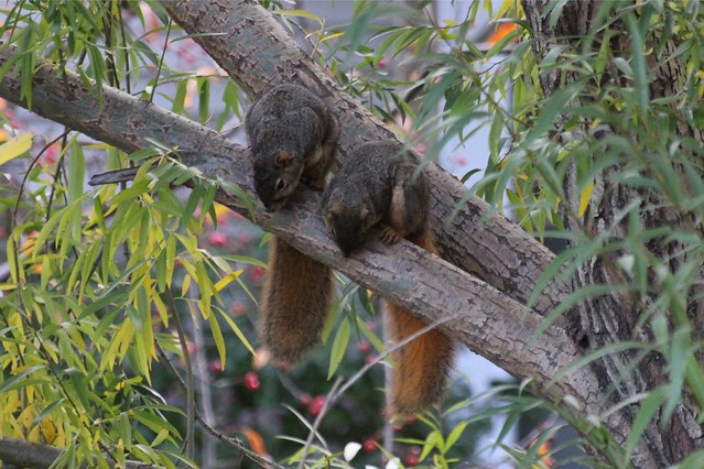 Fear at the Standoff