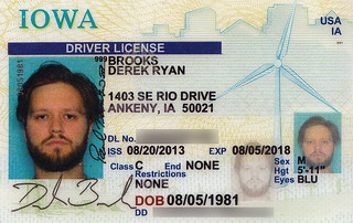 New Driver's License