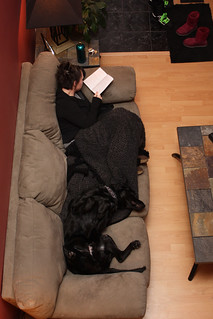 Ninja - A common site looking down from my office