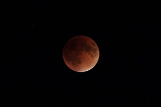 Lunar Eclipse. Peak Blood.