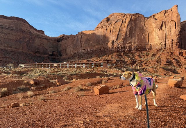 A morning walk before we begin the journey home