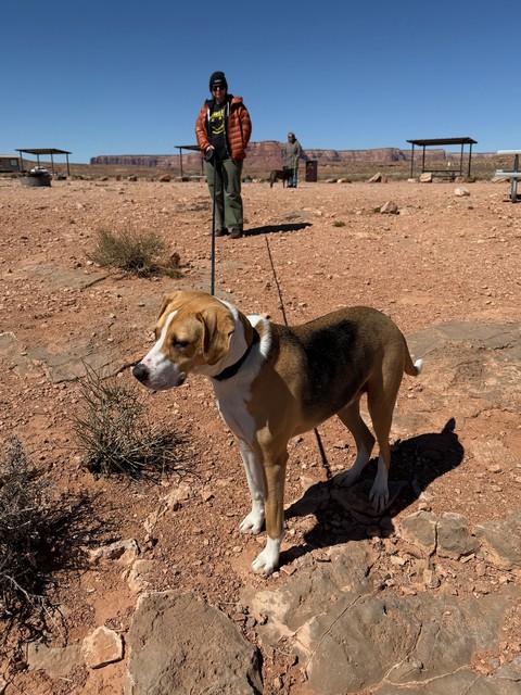 Durby checks out the goosenecks