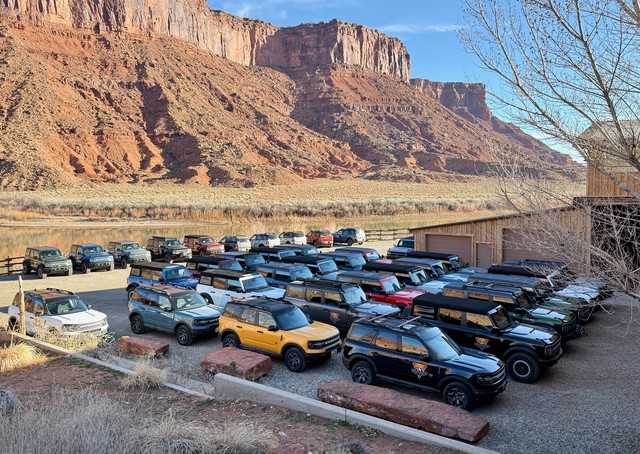 A herd of Broncos in Moab