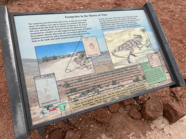 Found some dinosaur tracks on the Willow Springs trail