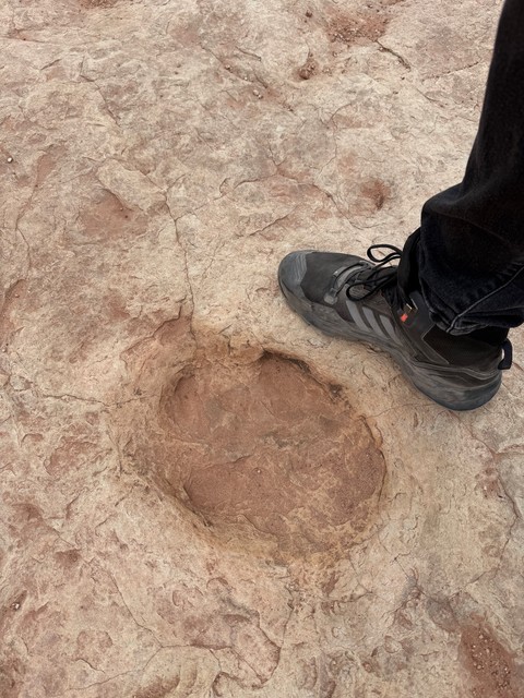 Big ol foot prints