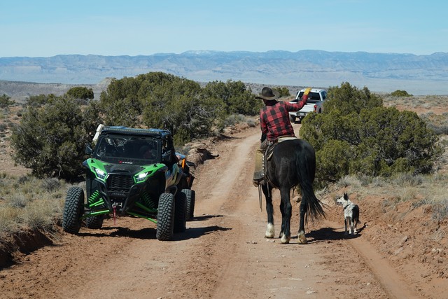 Cowboy gives directions to the UTVs
