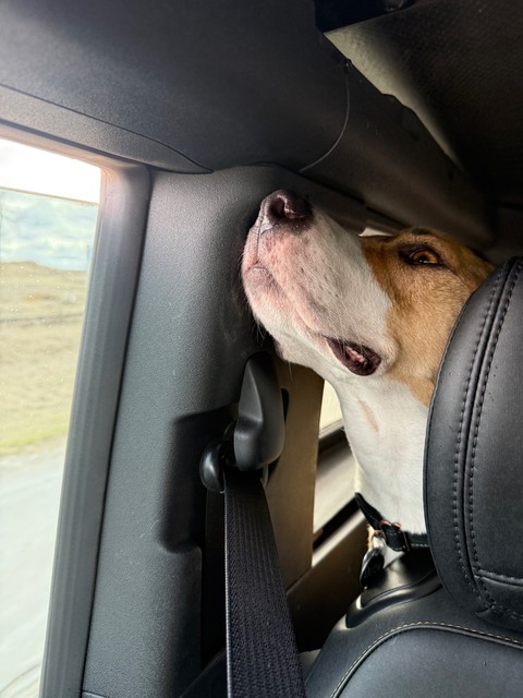 Catchin a good whiff. Smells like home.