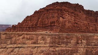 Tiny broncos on this cliff