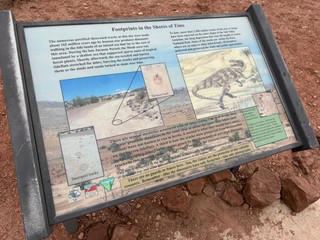 Travel - Found some dinosaur tracks on the Willow Springs trail