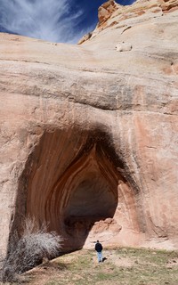 A wild cave on Dome Plateau