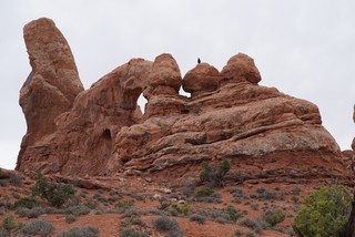 Travel - This kid climbed on top of the turret arch rocks. I was kinda jealous.