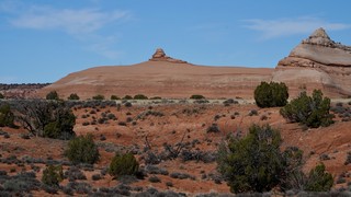 Looks like Jabba the Hutt up there