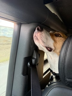 Travel - Catchin a good whiff. Smells like home.