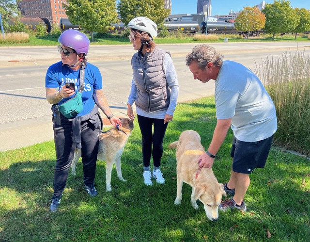 Hangin with these runaway dogs