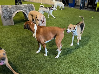 Durby liked the big boys