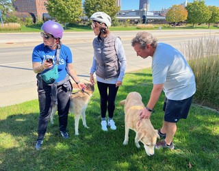 Hangin with these runaway dogs