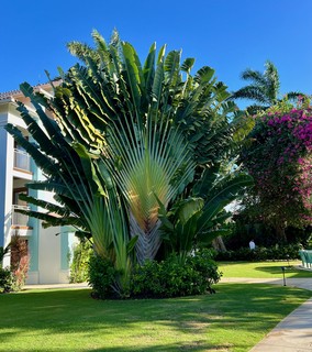 This 3 story bird of prey or something was absolutely wild