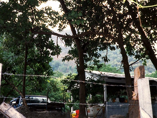 Travel - There's a monkey on the center tree - just above the barbed wire