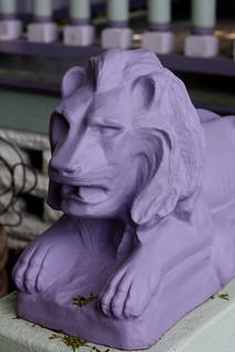 A Purple Lion