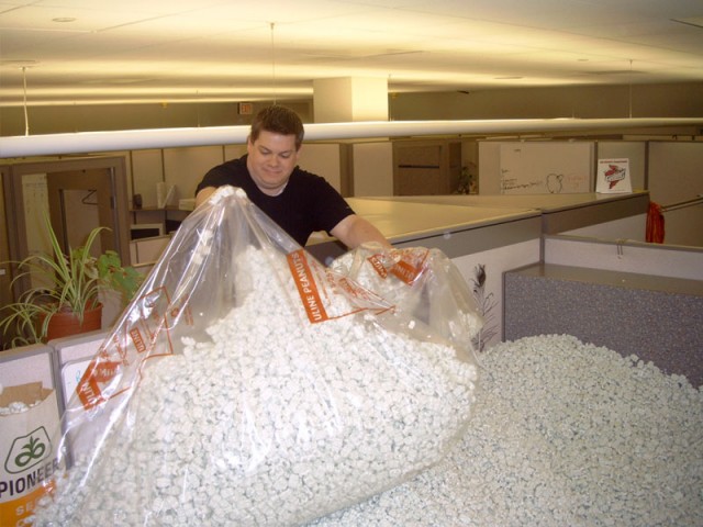 Nick dumping a bag in