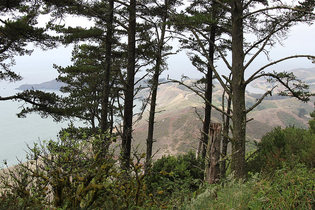 Looking out toward the ocean