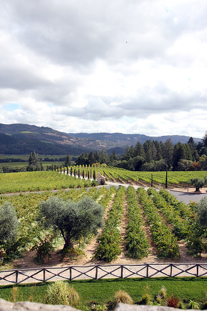 Looking out from Castello Winery