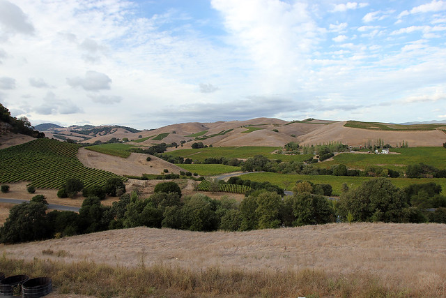 View from Artesa Winery